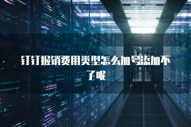 钉钉报销费用类型怎么加号添加不了呢