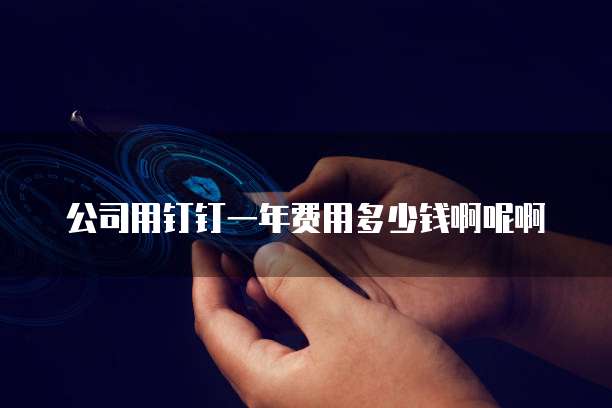 公司用钉钉一年费用多少钱啊呢啊