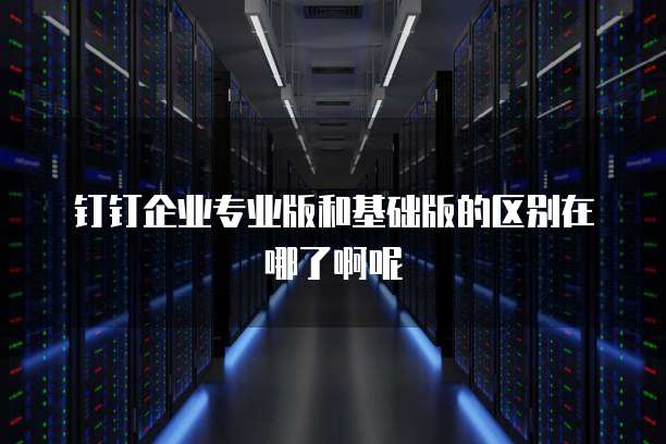 钉钉企业专业版和基础版的区别在哪了啊呢