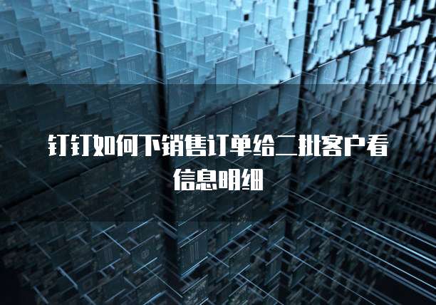 钉钉如何下销售订单给二批客户看信息明细