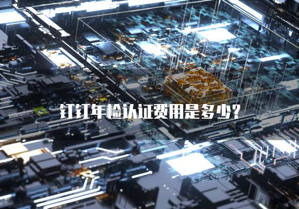 钉钉年检认证费用是多少？