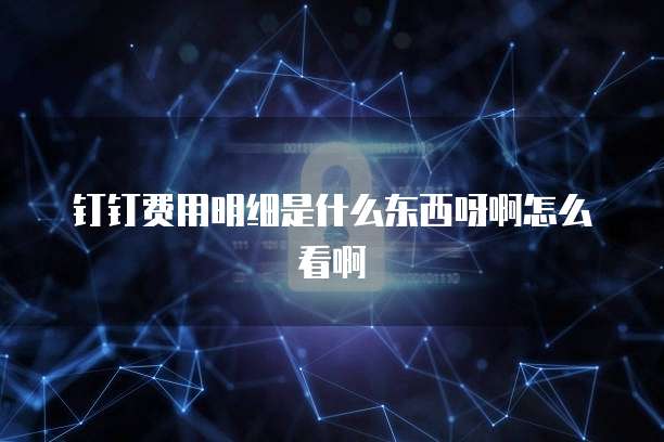 钉钉费用明细是什么东西呀啊怎么看啊
