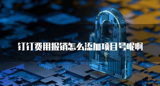 钉钉费用报销怎么添加项目号呢啊
