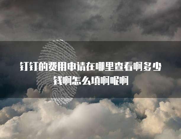 钉钉的费用申请在哪里查看啊多少钱啊怎么填啊呢啊