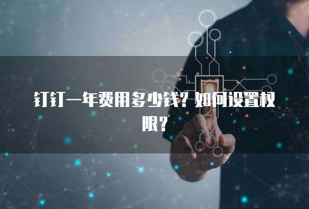钉钉一年费用多少钱?如何设置权限?