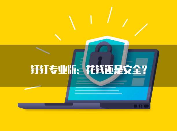 钉钉专业版:花钱还是安全?