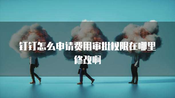 钉钉怎么申请费用审批权限在哪里修改啊