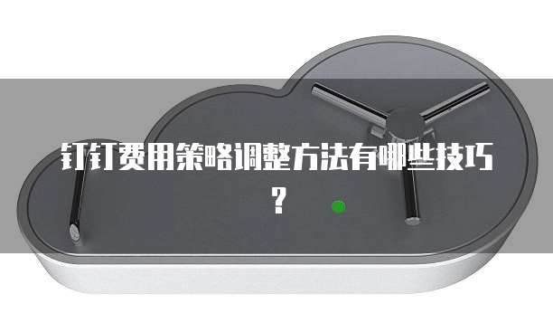 钉钉费用策略调整方法有哪些技巧?