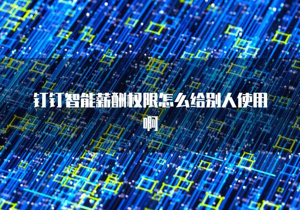 钉钉智能薪酬权限怎么给别人使用啊