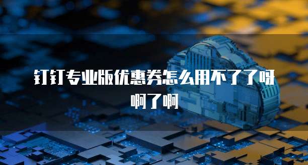 钉钉专业版优惠券怎么用不了了呀啊了啊