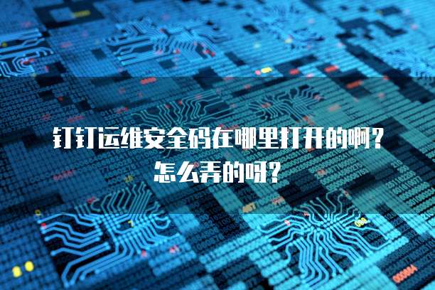 钉钉运维安全码在哪里打开的啊?怎么弄的呀?