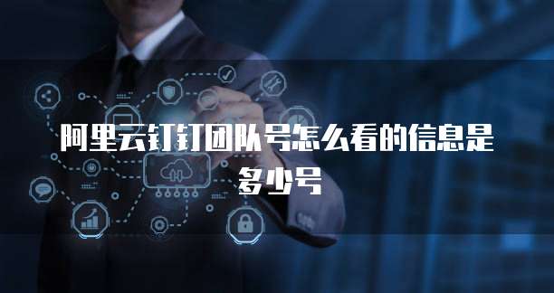阿里云钉钉团队号怎么看的信息是多少号