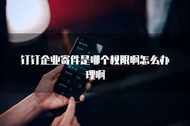 钉钉企业寄件是哪个权限啊怎么办理啊