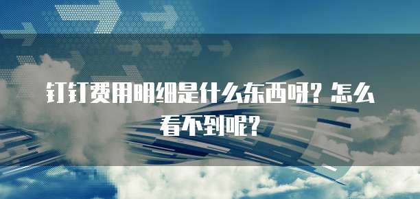 钉钉费用明细是什么东西呀?怎么看不到呢?