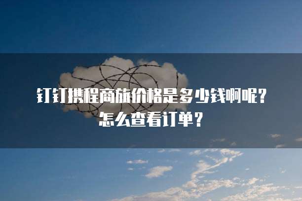 钉钉携程商旅价格是多少钱啊呢?怎么查看订单?