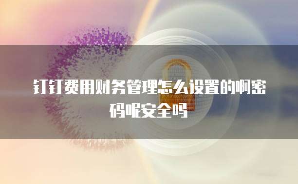 钉钉费用财务管理怎么设置的啊密码呢安全吗