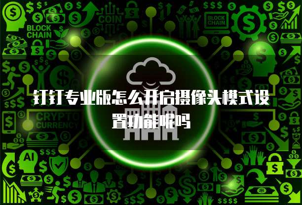 钉钉专业版怎么开启摄像头模式设置功能呢吗