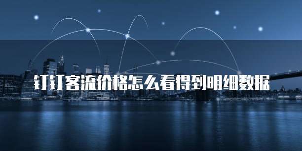 钉钉客流价格怎么看得到明细数据