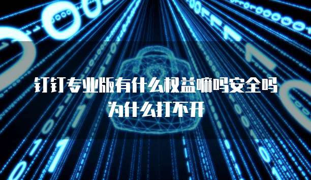 钉钉专业版有什么权益嘛吗安全吗为什么打不开