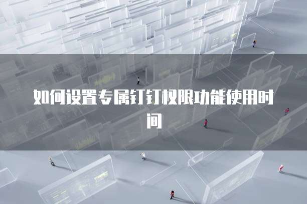 如何设置专属钉钉权限功能使用时间
