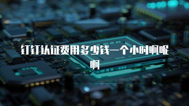 钉钉认证费用多少钱一个小时啊呢啊