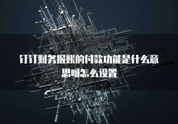 钉钉财务报账的付款功能是什么意思呀怎么设置
