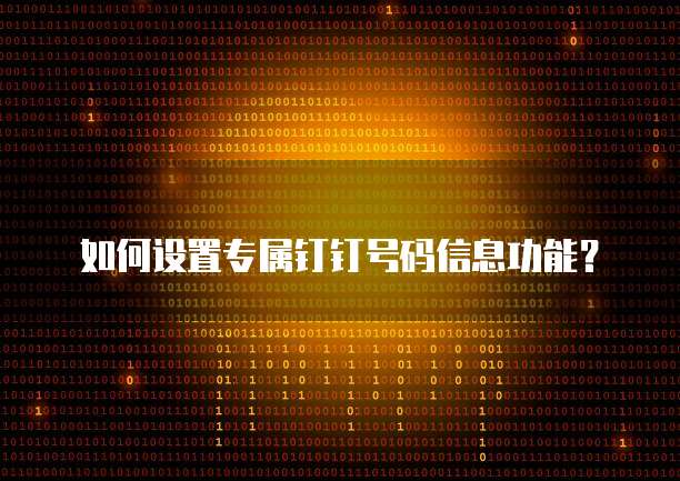 如何设置专属钉钉号码信息功能?