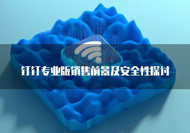 钉钉专业版销售前景及安全性探讨