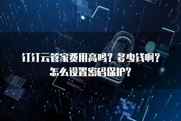 钉钉云管家费用高吗?多少钱啊?怎么设置密码保护?