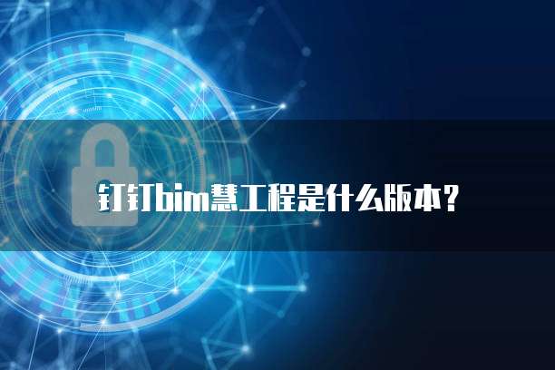 钉钉bim慧工程是什么版本？