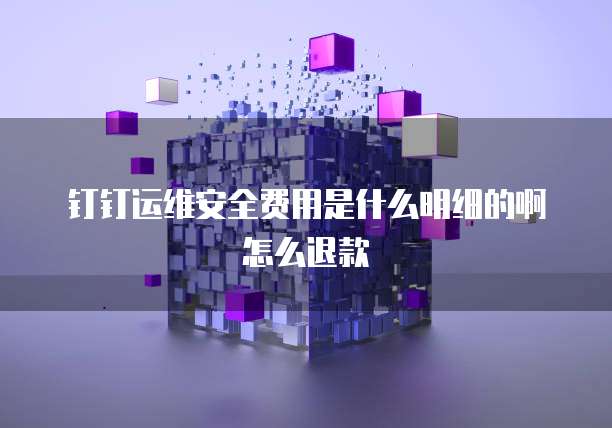 钉钉运维安全费用是什么明细的啊怎么退款