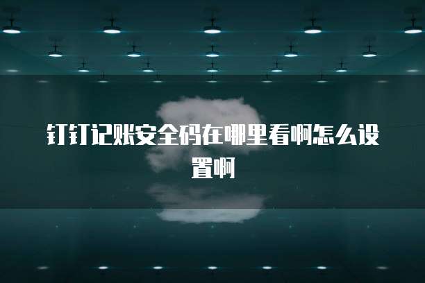 钉钉记账安全码在哪里看啊怎么设置啊