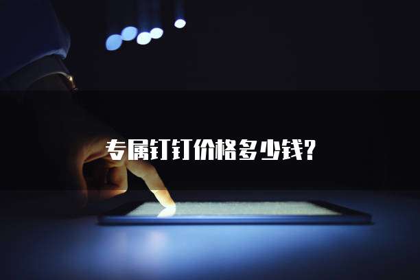 专属钉钉价格多少钱?