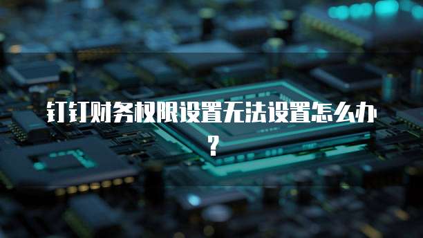 钉钉财务权限设置无法设置怎么办?