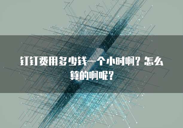 钉钉费用多少钱一个小时啊?怎么算的啊呢?