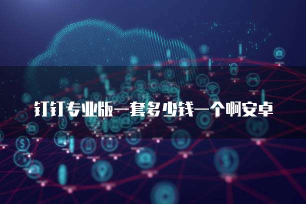 钉钉专业版一套多少钱一个啊安卓