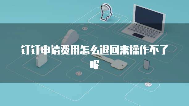 钉钉申请费用怎么退回来操作不了呢