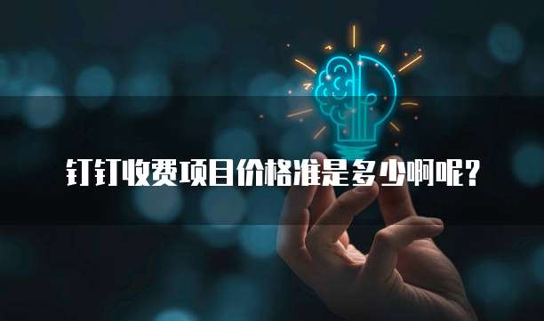 钉钉收费项目价格准是多少啊呢?