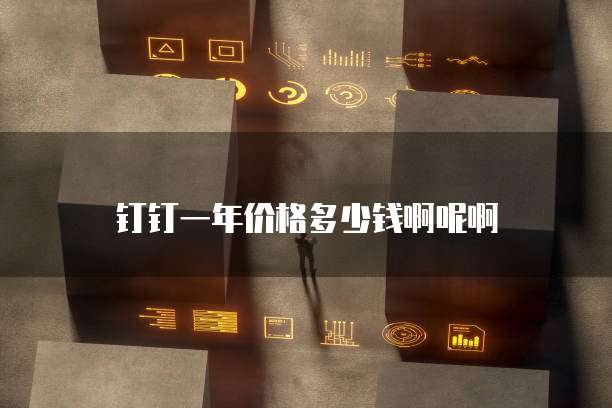 钉钉一年价格多少钱啊呢啊