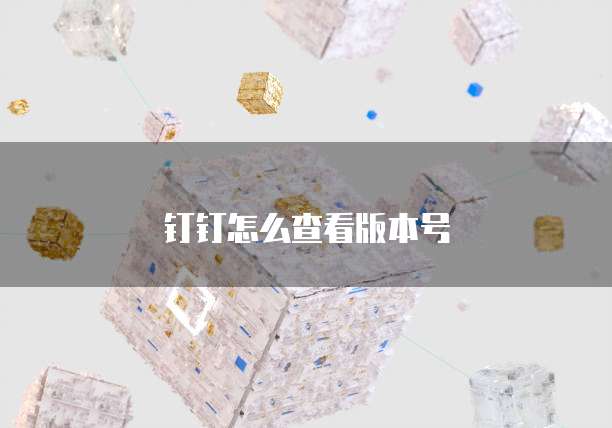 钉钉怎么查看版本号