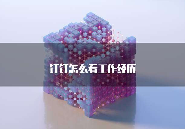 钉钉怎么看工作经历