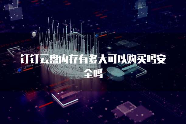 钉钉云盘内存有多大可以购买吗安全吗