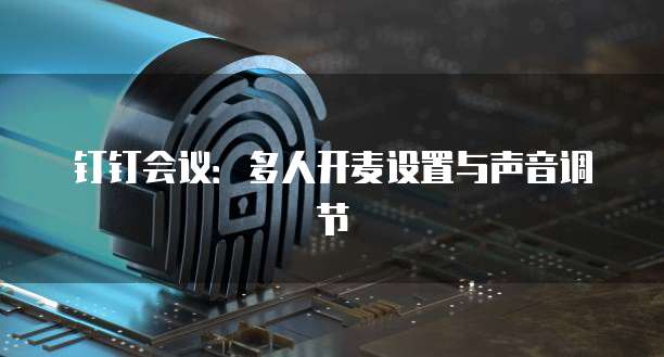 钉钉会议：多人开麦设置与声音调节