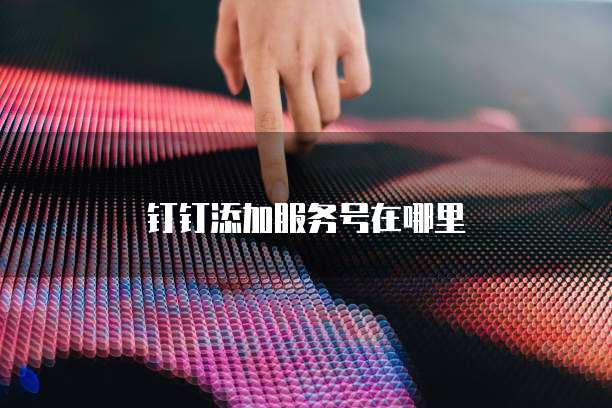 钉钉添加服务号在哪里