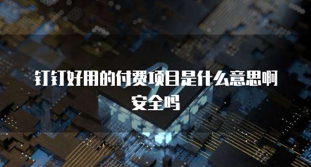 钉钉好用的付费项目是什么意思啊安全吗