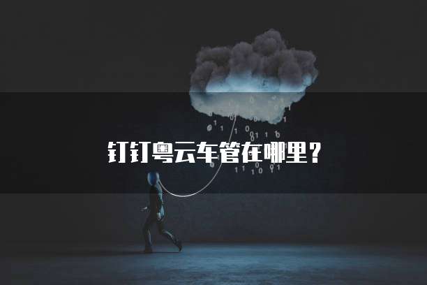 钉钉粤云车管在哪里？