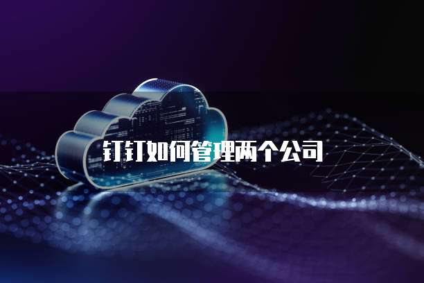 钉钉如何管理两个公司