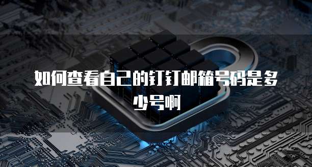 如何查看自己的钉钉邮箱号码是多少号啊