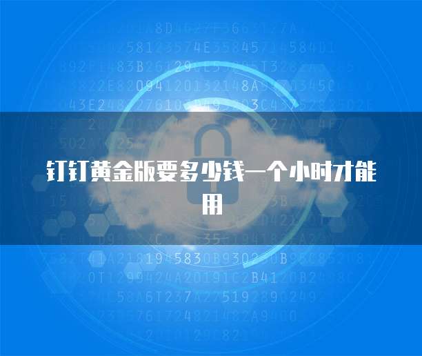 钉钉黄金版要多少钱一个小时才能用