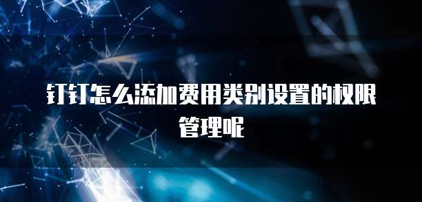 钉钉怎么添加费用类别设置的权限管理呢